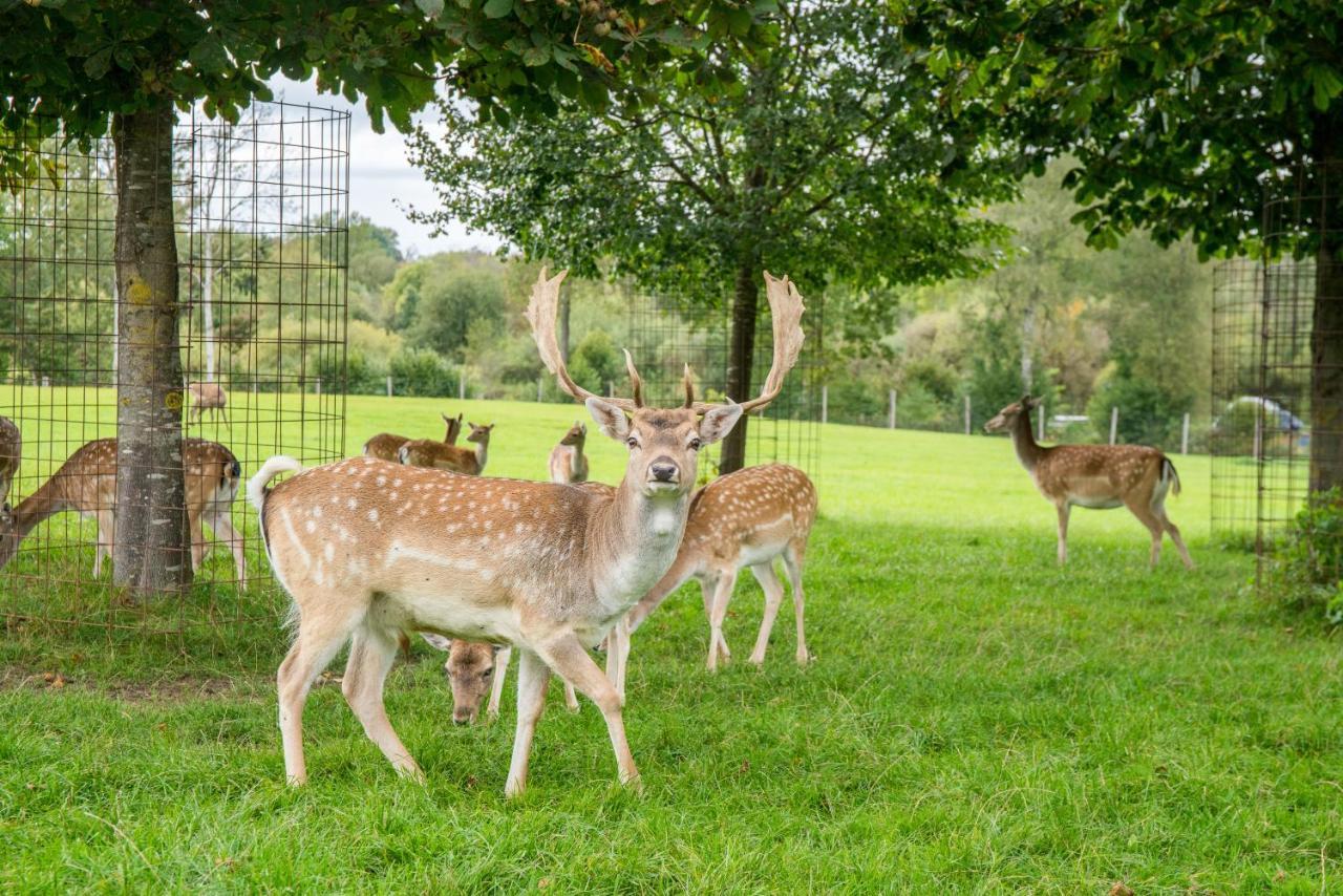 Hotel Hofgut Tiergarten Aulendorf Dış mekan fotoğraf